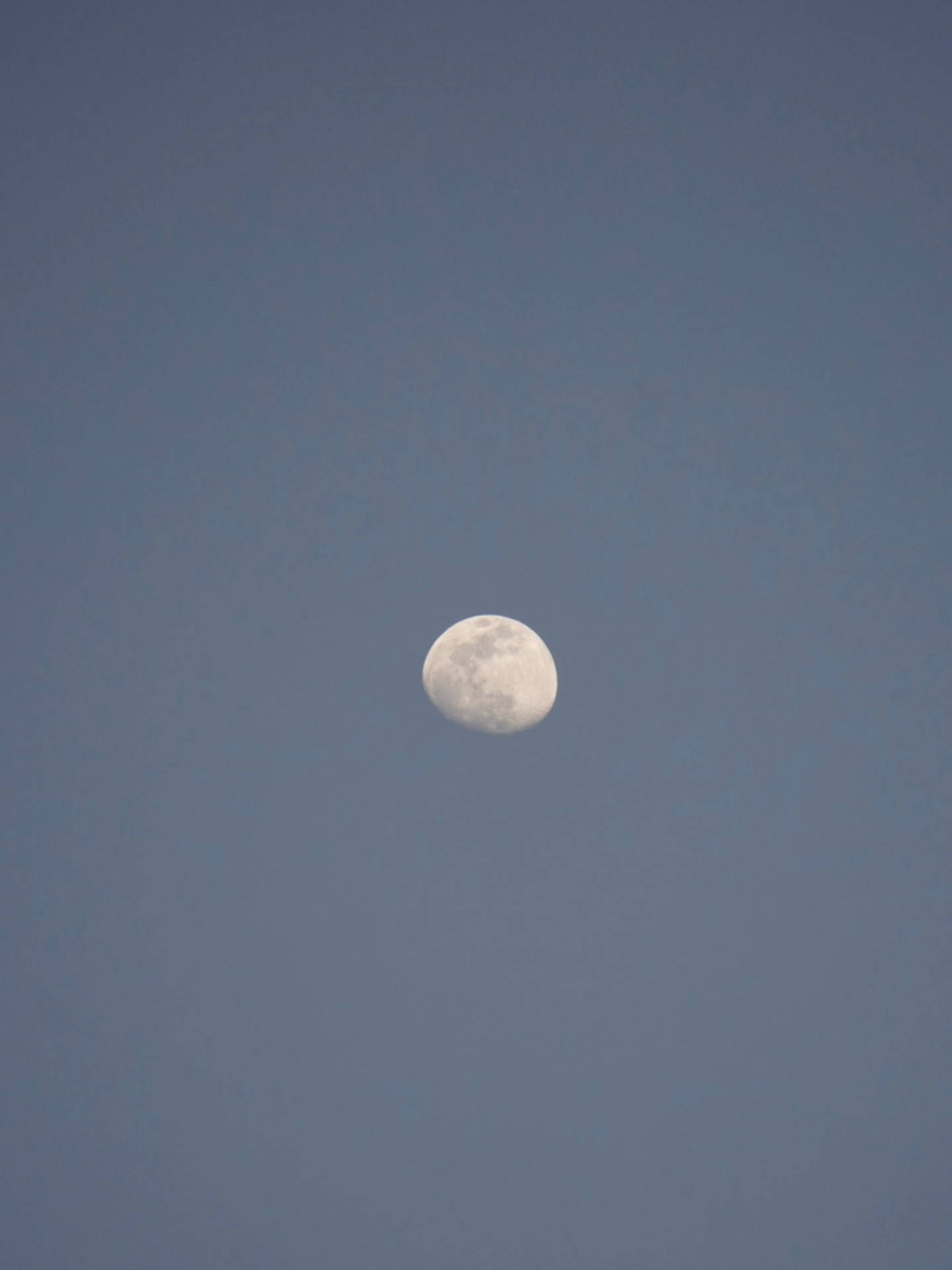 Hd Moon In The Gray Sky Wallpaper
