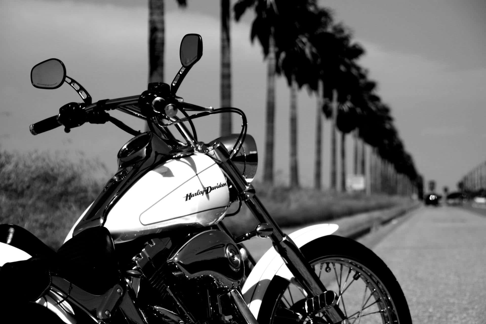 Velocidady Estilo: Una Motocicleta En Hd Fondo de pantalla