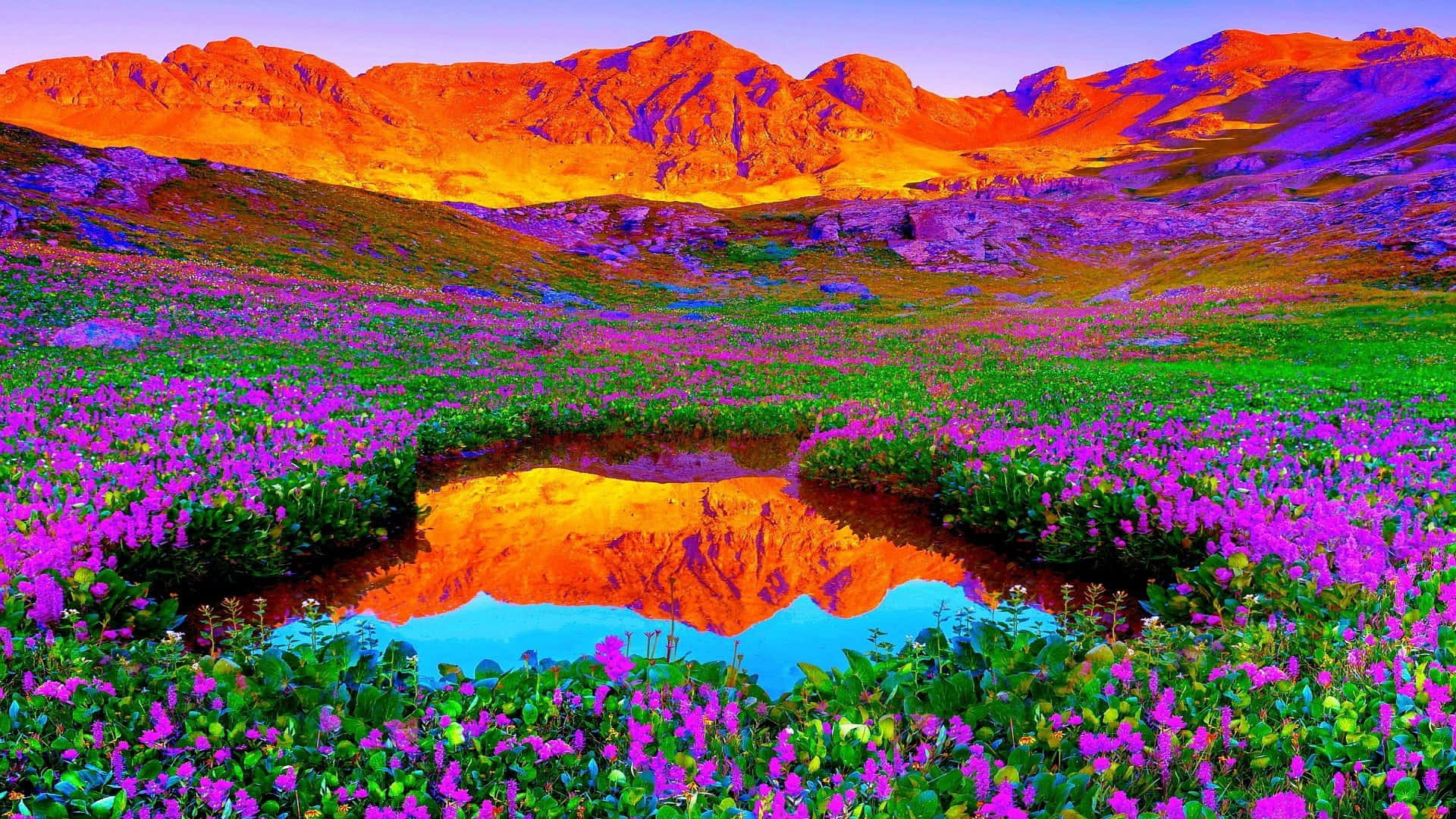 pretty colorful nature backgrounds