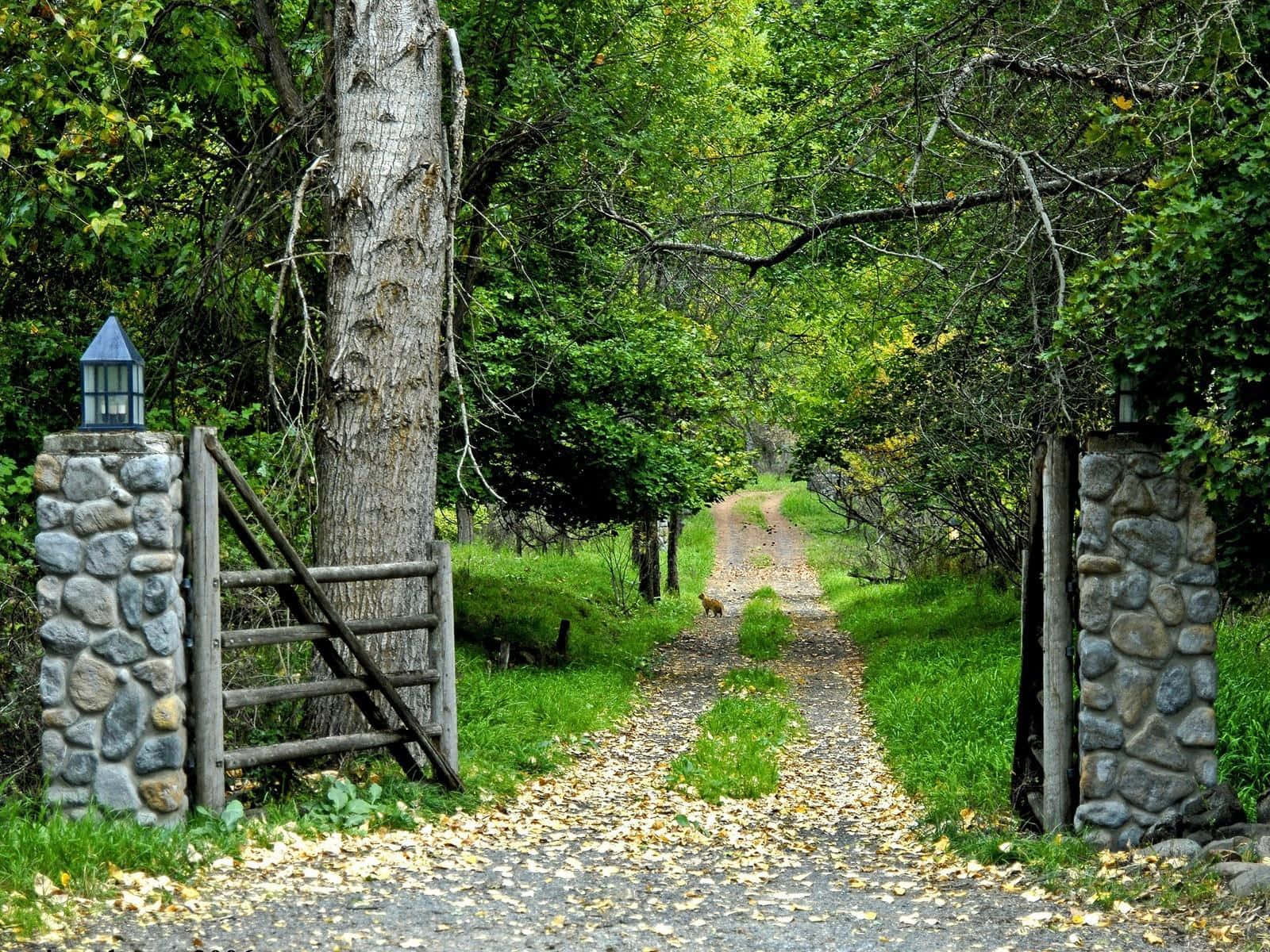 a gate leading to a dirt road with trees and a stone wall