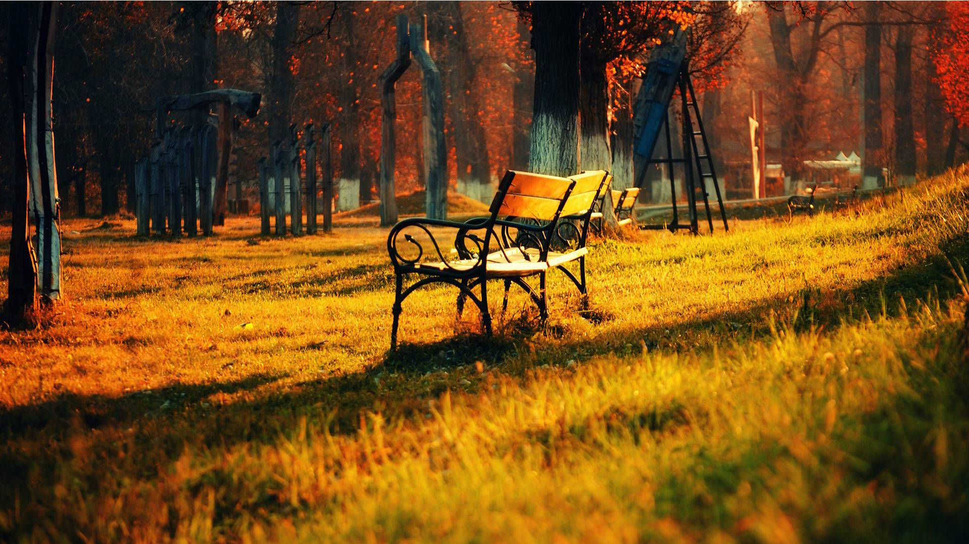 Hd Nature Bench