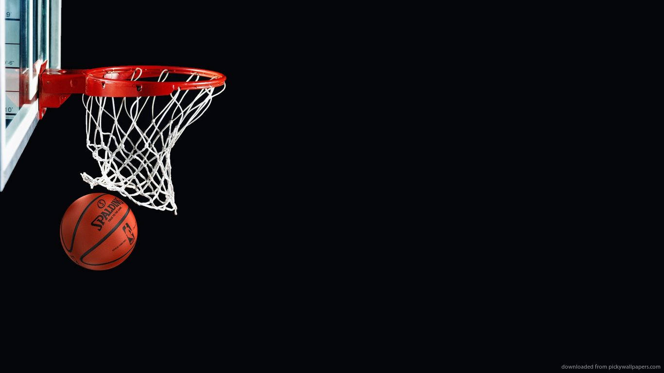 nba wallpapers cropped aestheticTikTok Search