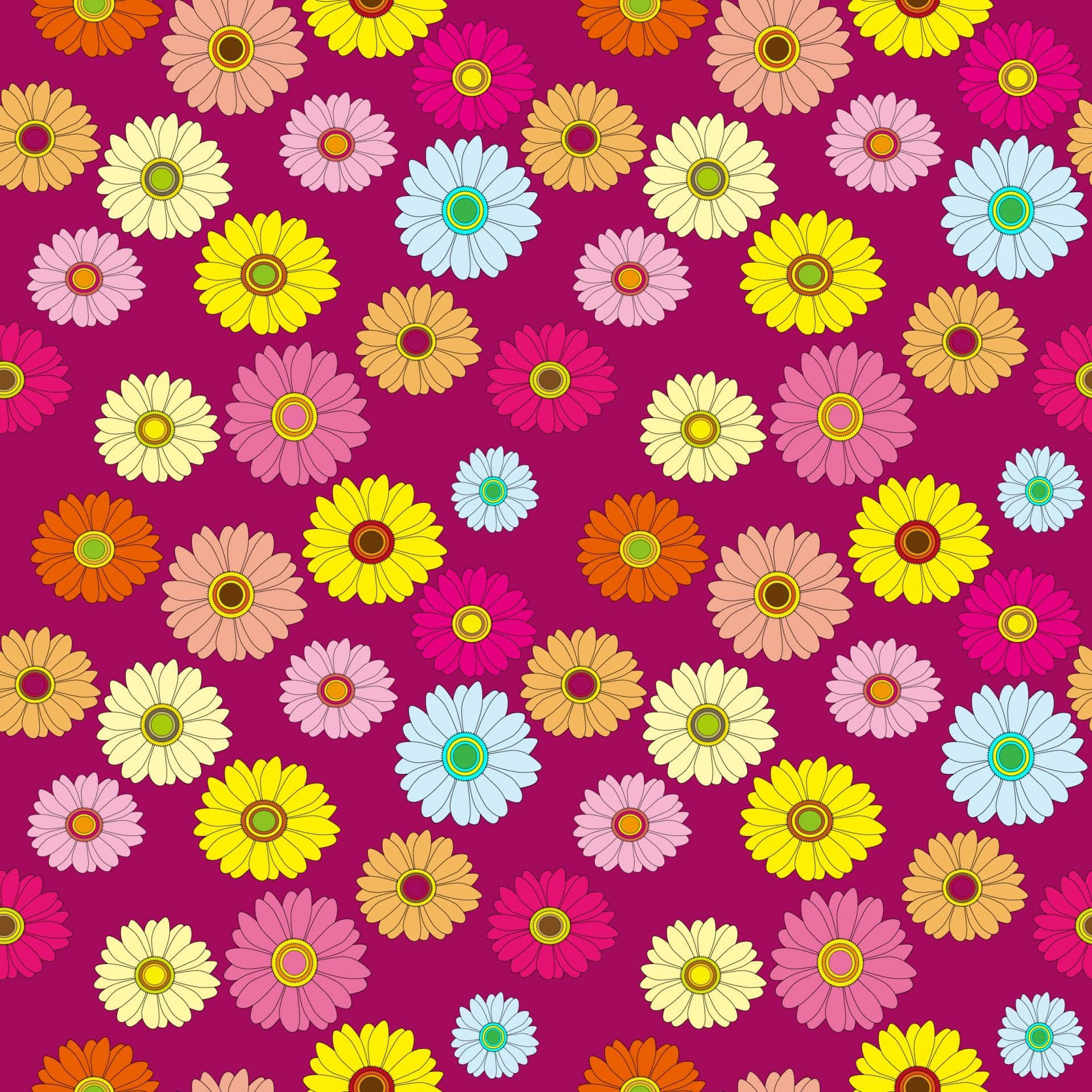 Hd Pattern Multi-colored Daisies Wallpaper