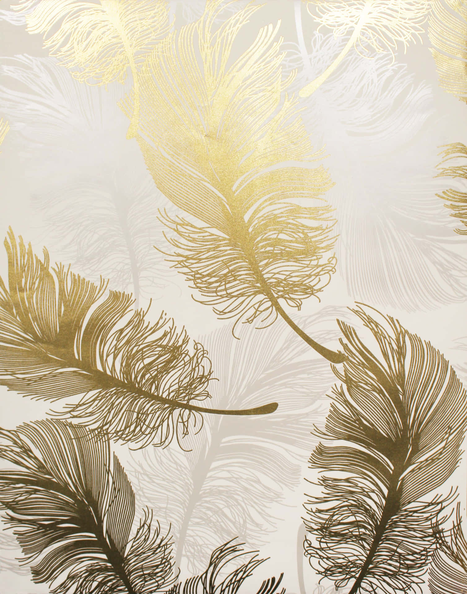 HD Pattern White Gold Feathers Wallpaper