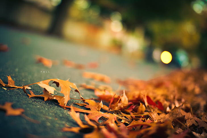 HD Fotografering af fejet efteråret blade på gaden Wallpaper