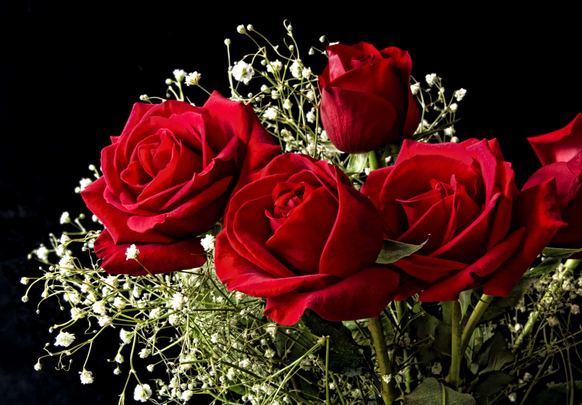 Red Rose Wallpaper APK for Android Download