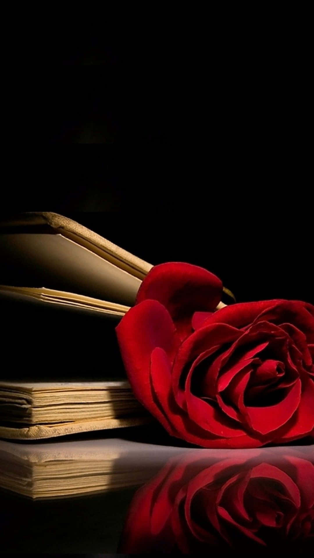 A Red Rose Is Sitting On Top Of A Book