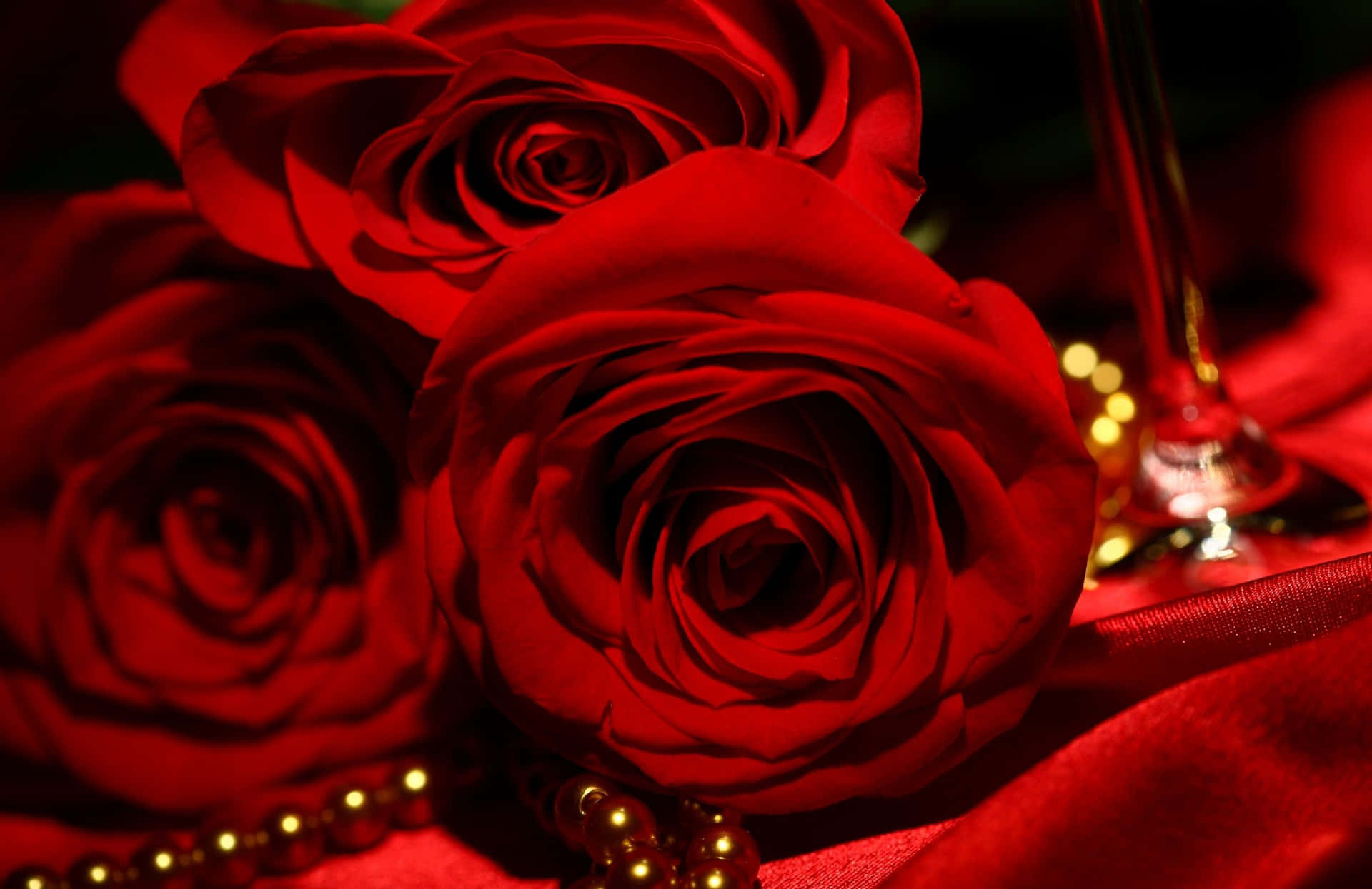 Bright Red Roses Against a Dark Background