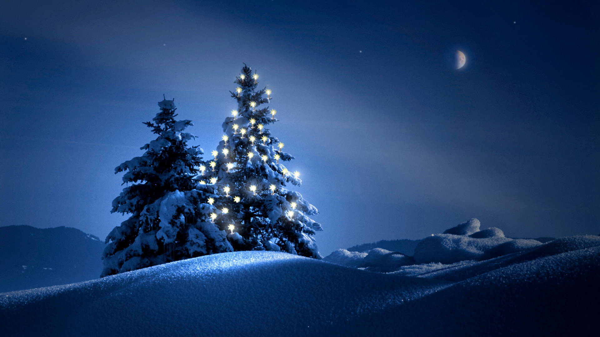 Hd Scenery Night Christmas Tree Wallpaper