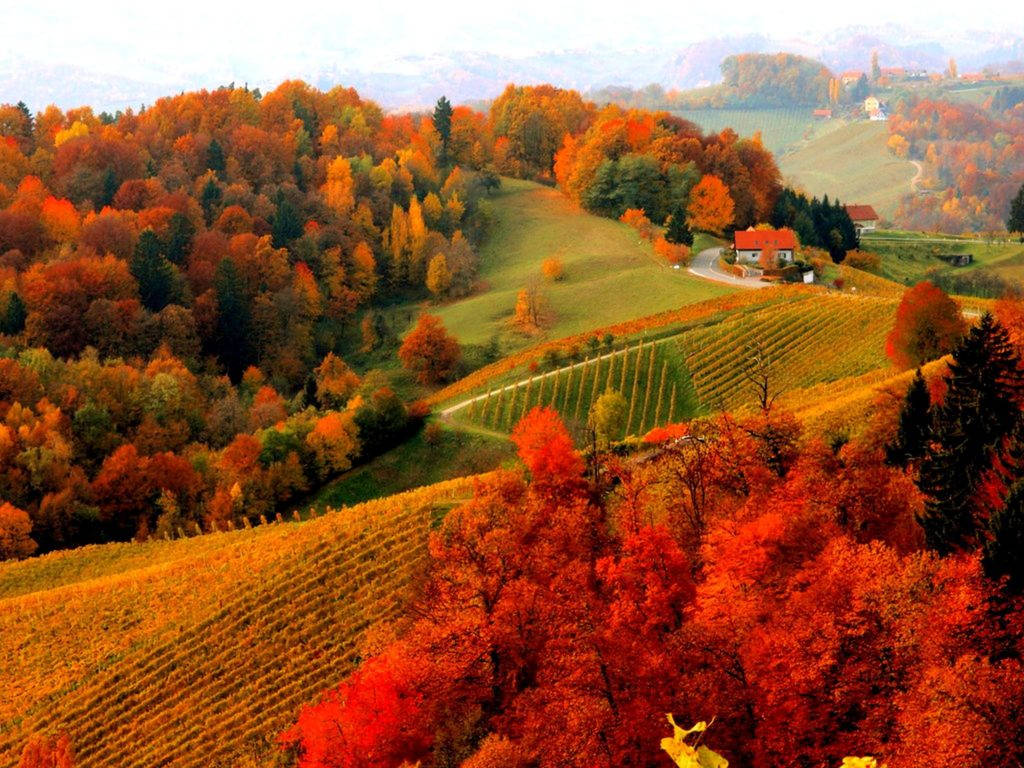 Hd Scenery Rolling Hills In Autumn Wallpaper
