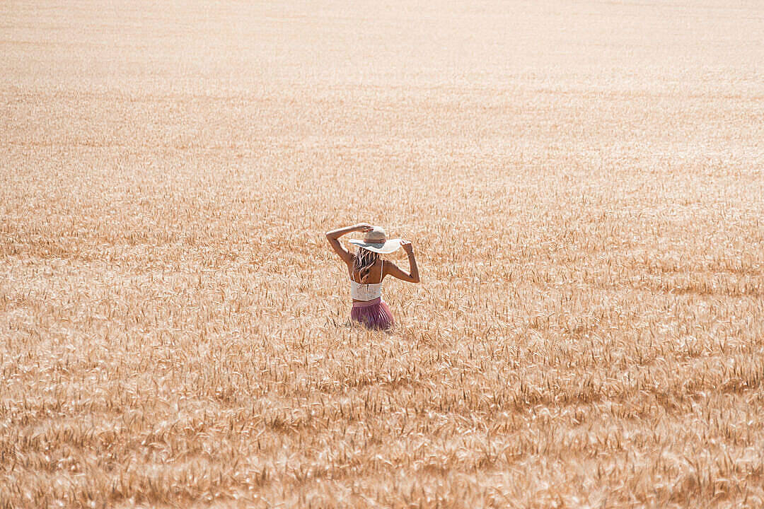 Hd Scenery Woman In Wheat Field Wallpaper