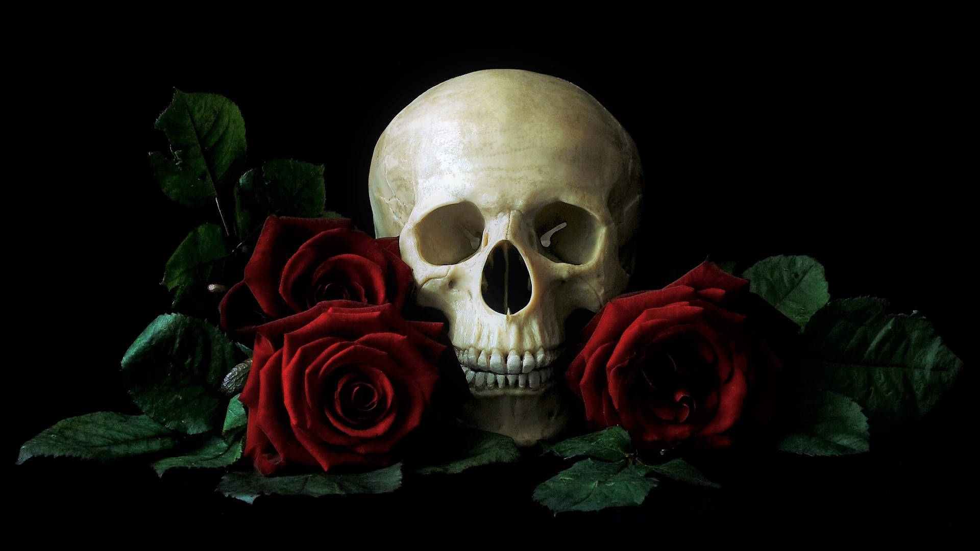 Hd Skull Med Røde Roser Wallpaper