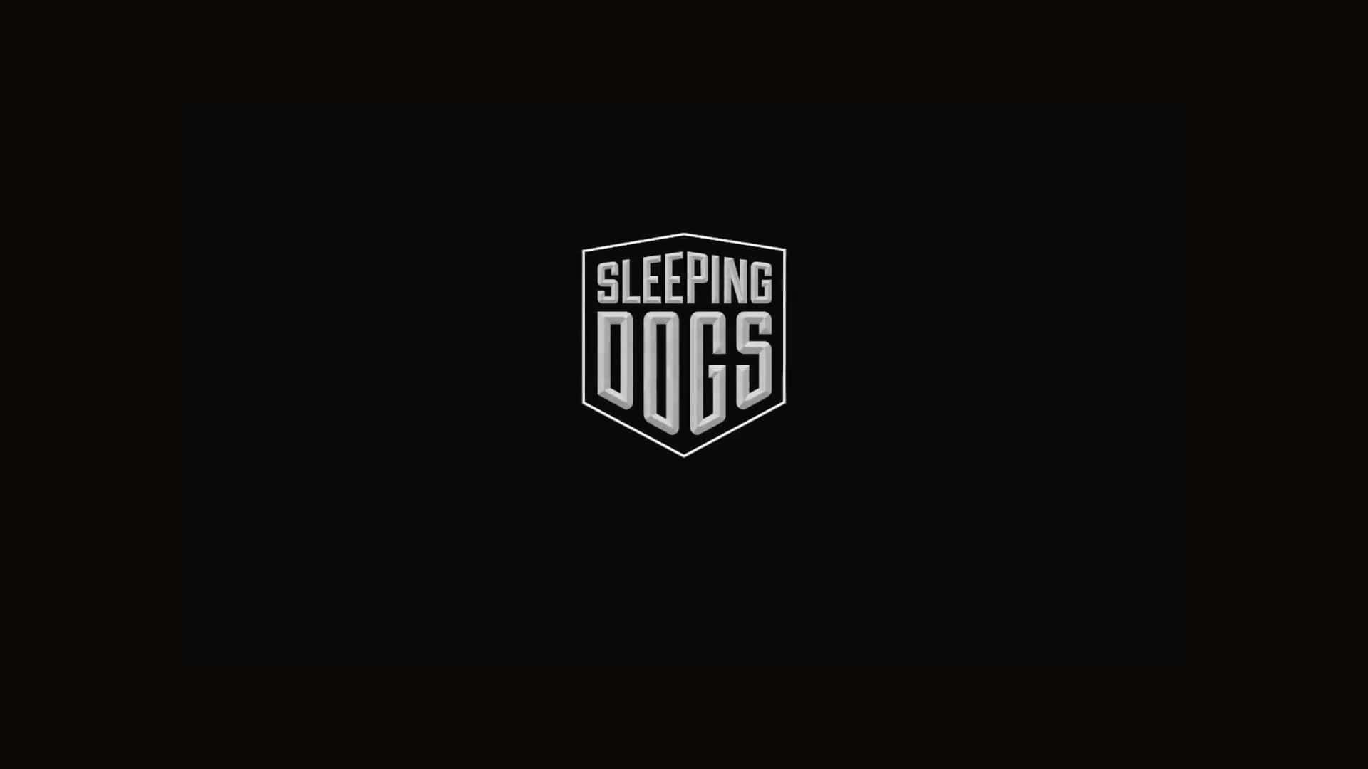 Hd Sleeping Dogs Background 1920 X 1080