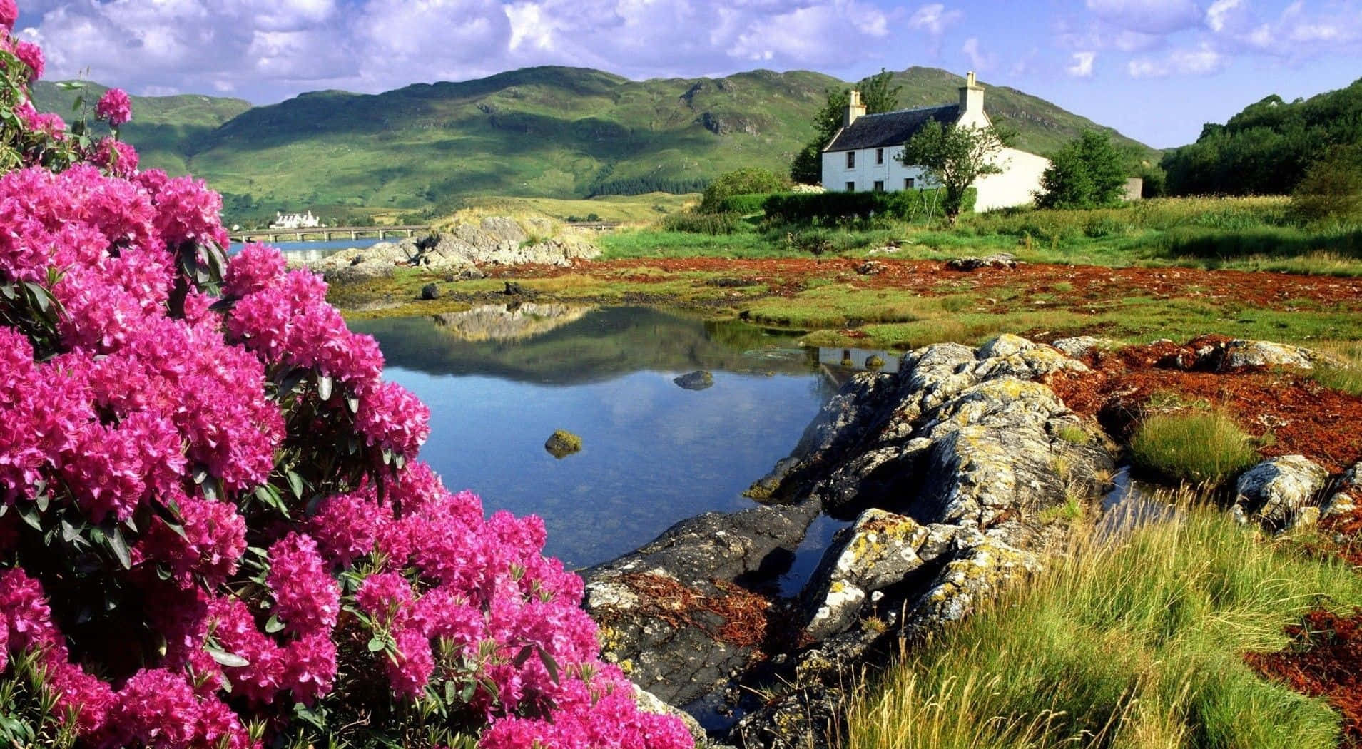 A House And Flowers In The Background