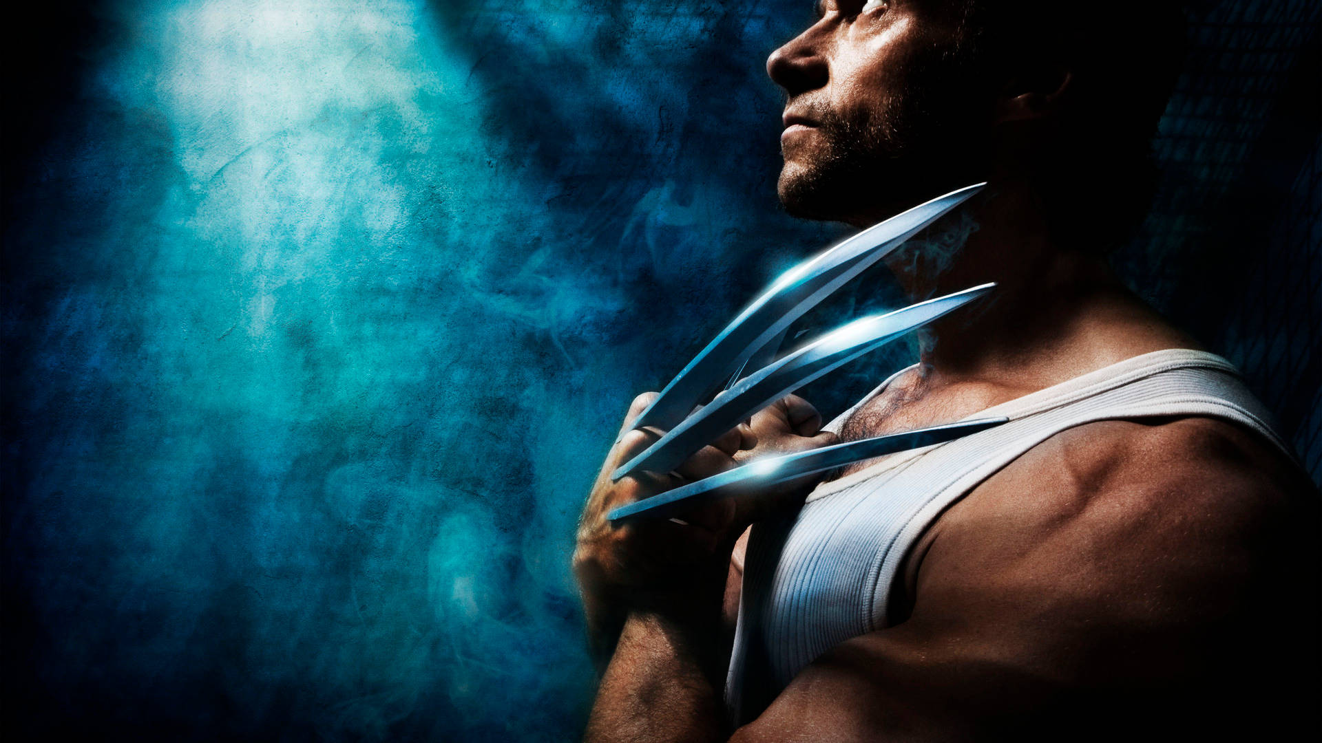 Hdsuperhelden Echter Wolverine In Der Realen Welt Wallpaper
