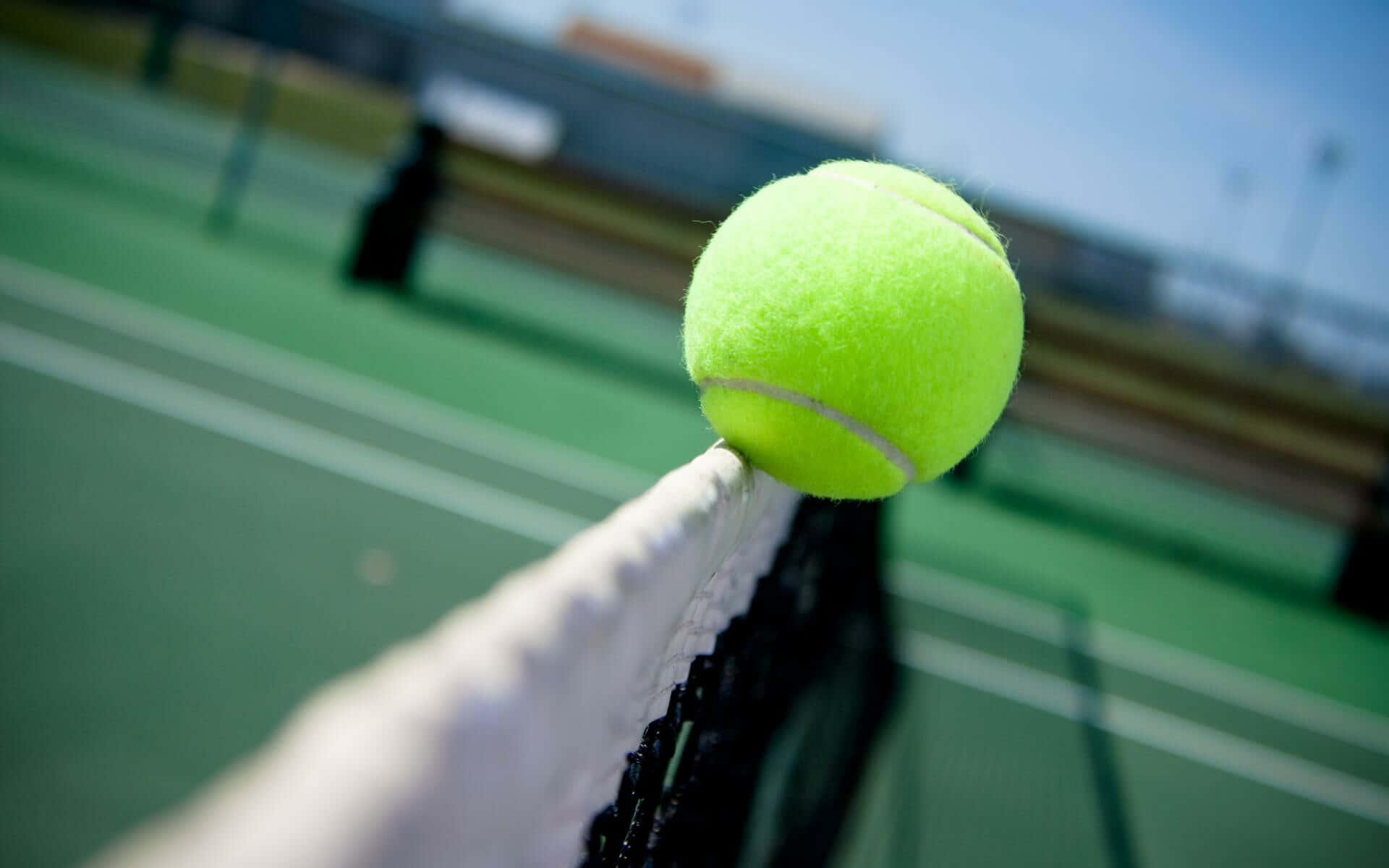 Sfondoad Alta Definizione Di Una Palla Da Tennis Sulla Rete