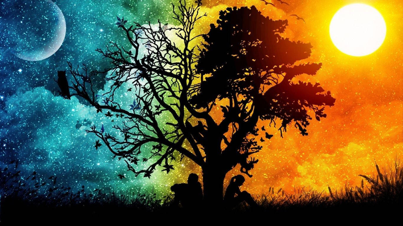 HD wallpaper of tree silhouette on half night and half day background. 