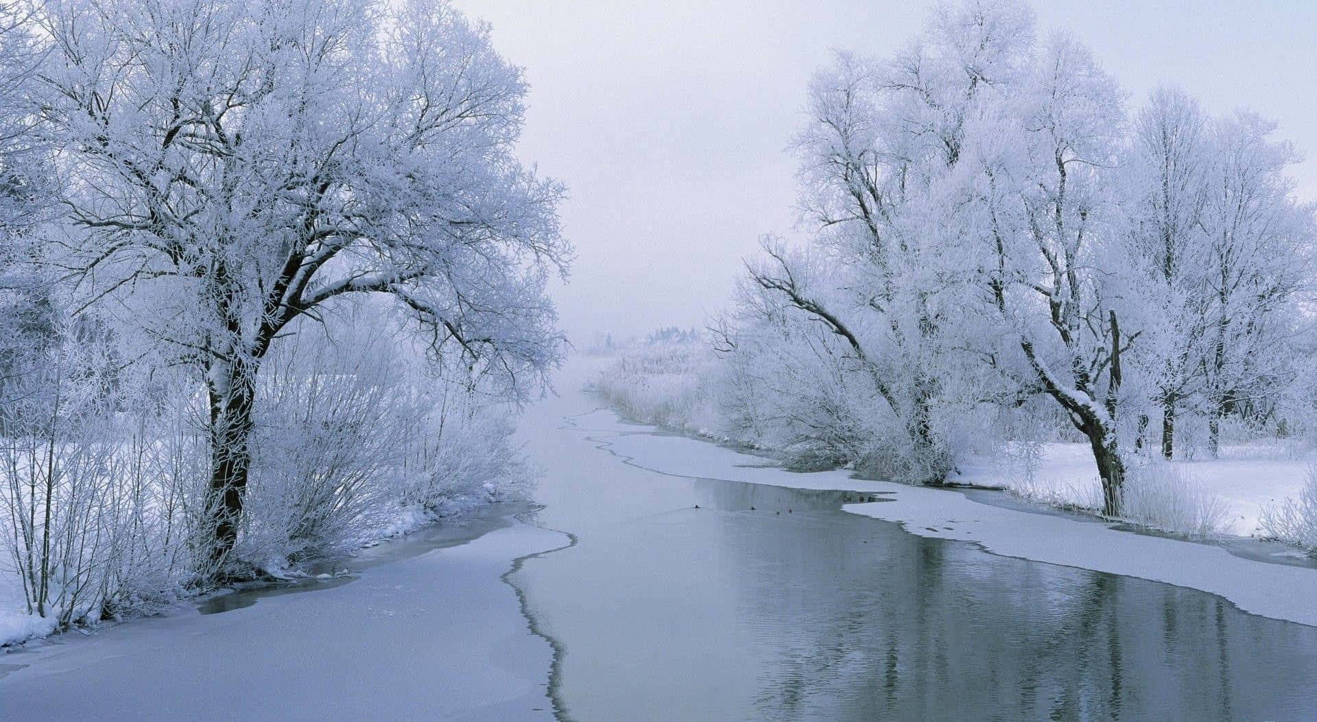 Calm Frozen Lake White Hd Winter Background