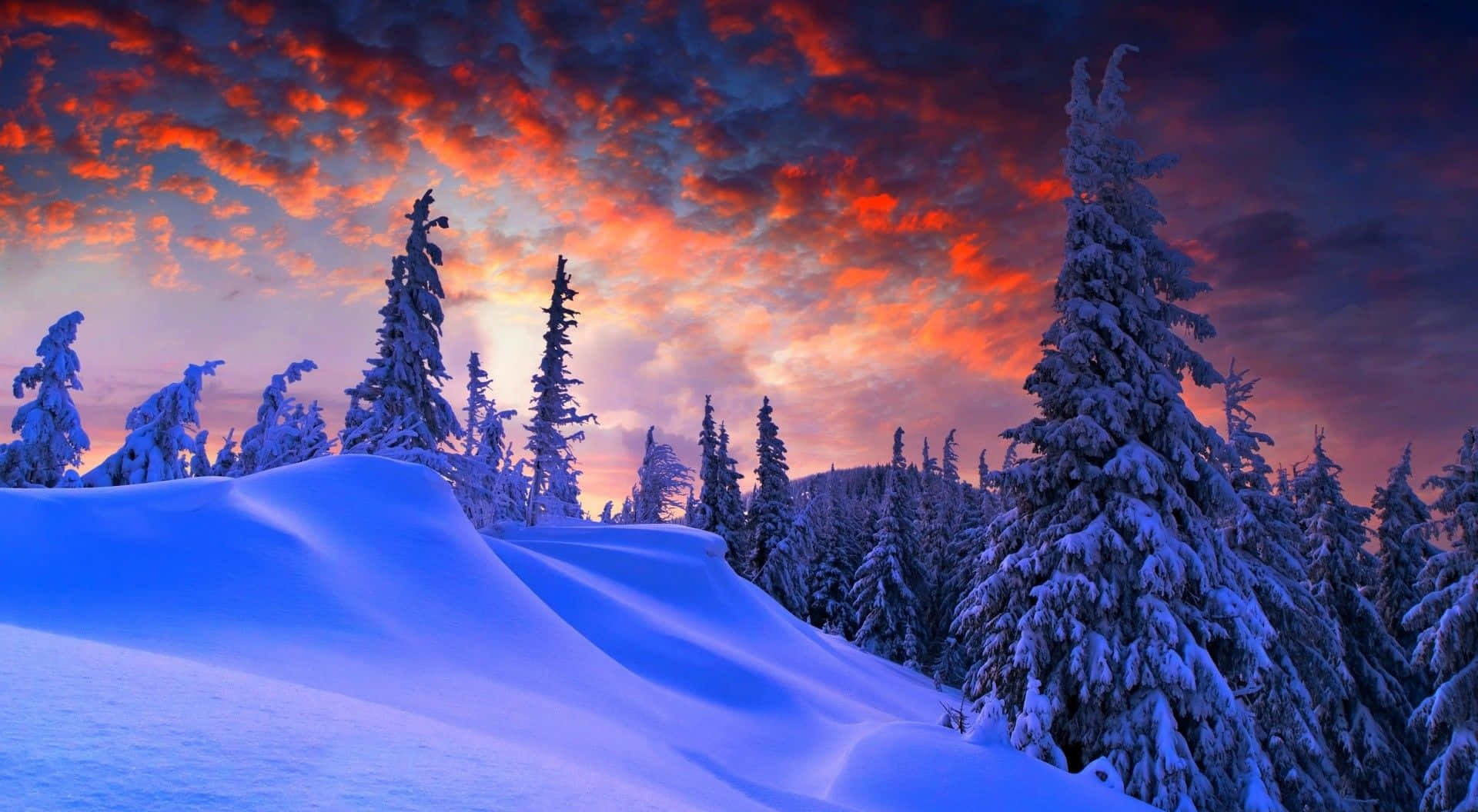 Hd Winter Background Blue And Red Cloudy Sky Background