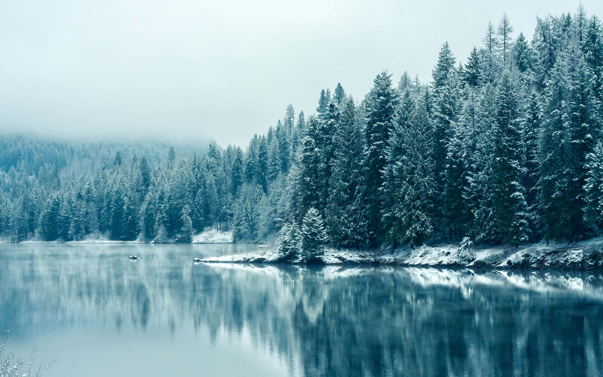 Hd Winter Background Foggy Forest And Frozen Lake Wide Shot Background