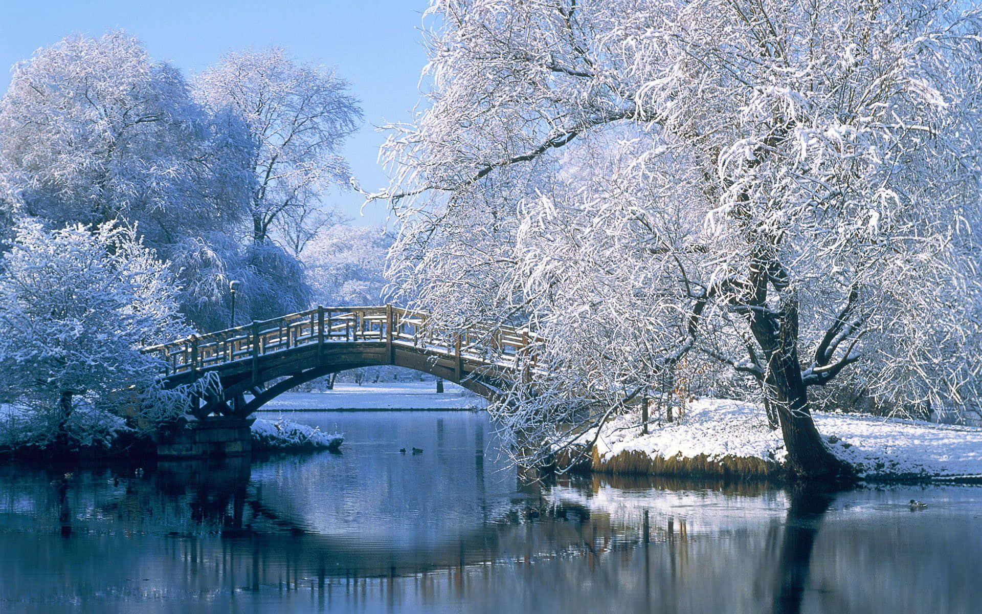 Hd Winter Background Lake With Small Aesthetic Bridge Background