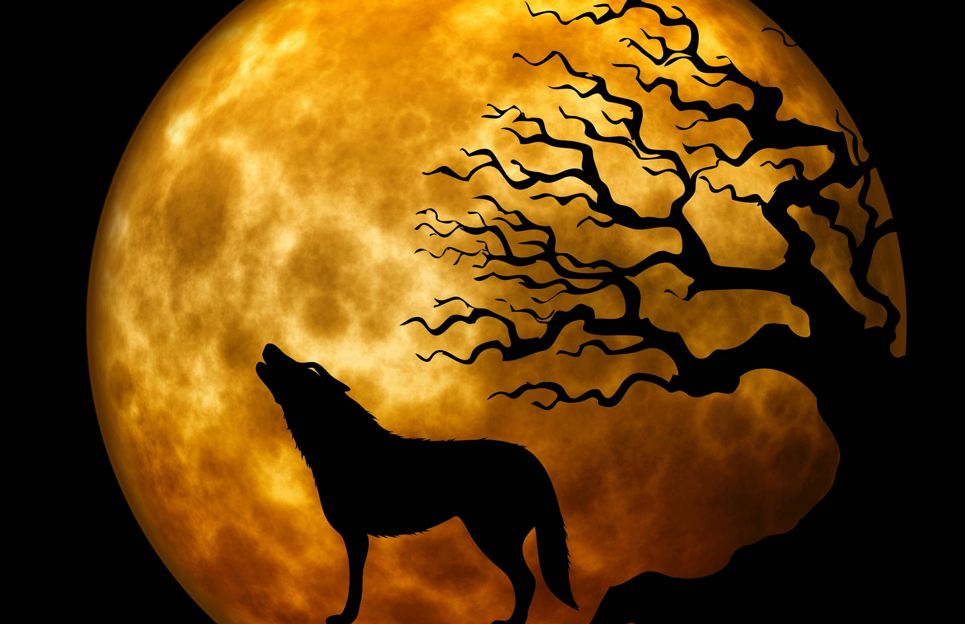 Hd Wolf Howling At Full Moon Wallpaper