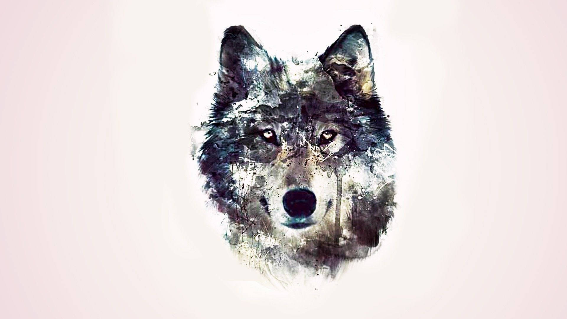 Hd Wolf Watercolor Art Wallpaper
