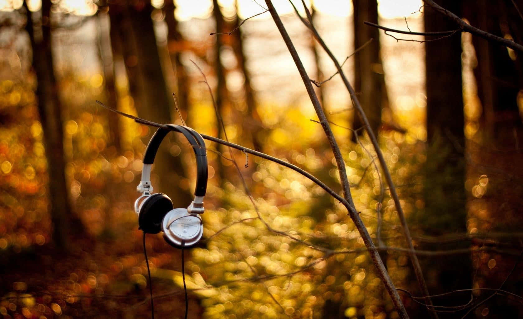 Get Lost in the Music with Quality Headphones