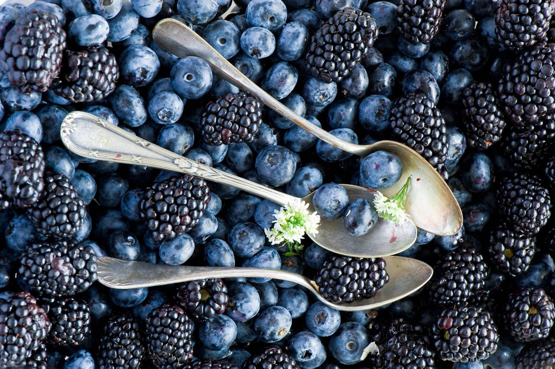 Frutassaludables De Moras Negras Y Arándanos Azules. Fondo de pantalla