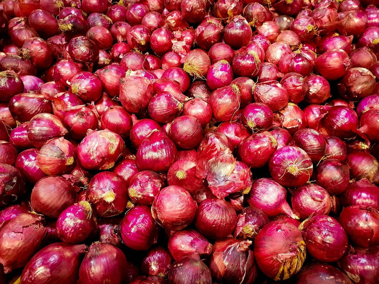 Heap Of Fresh And Rotten Red Onions Wallpaper