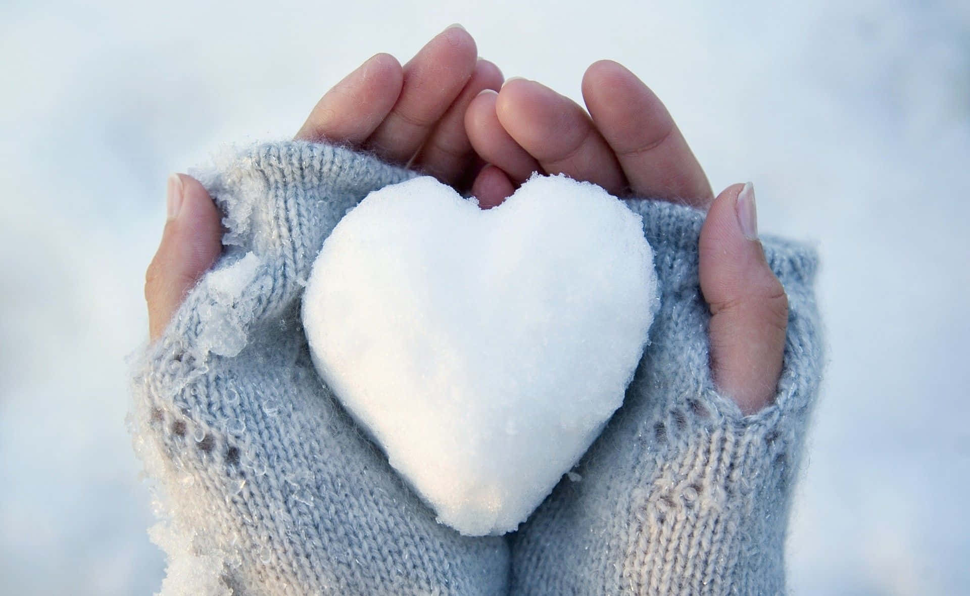 Heart Snow On Hands Background
