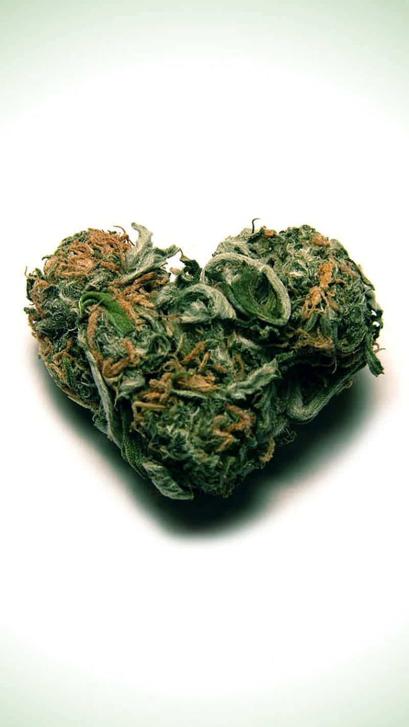 Heart Cannabis Bud Picture