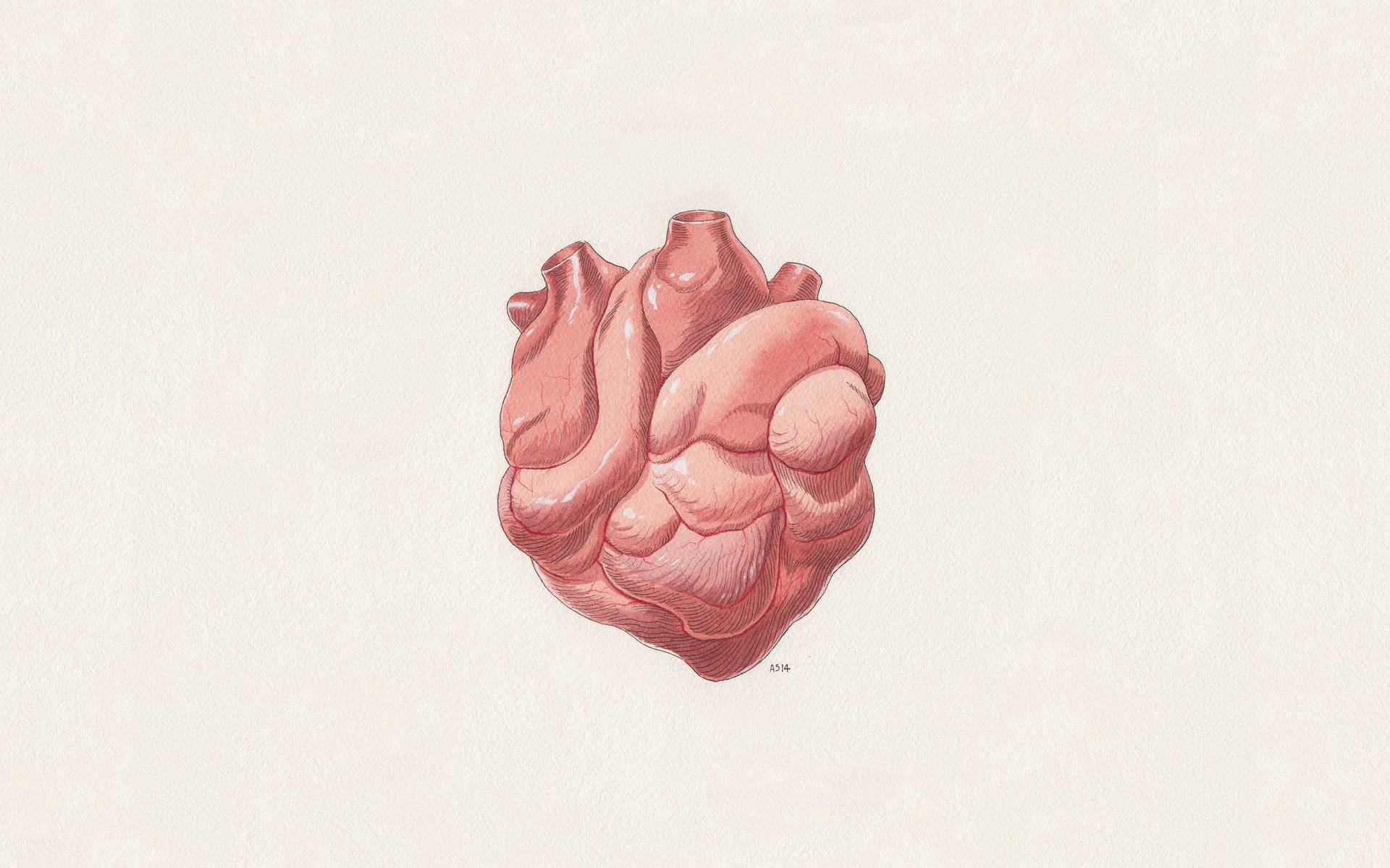 Heart Digital Vector Art