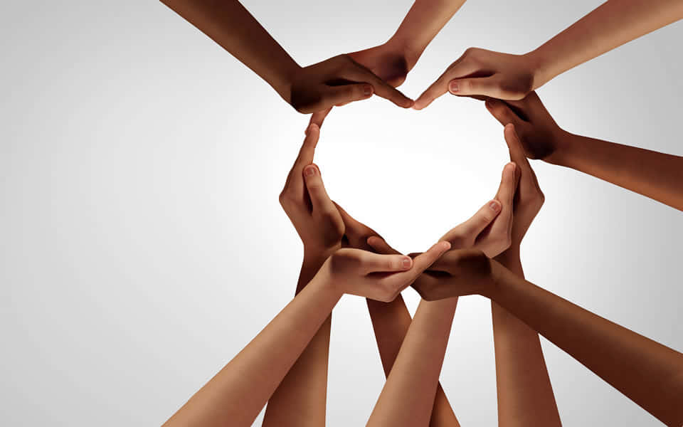 Heart Hands Uniting Against Racism Wallpaper
