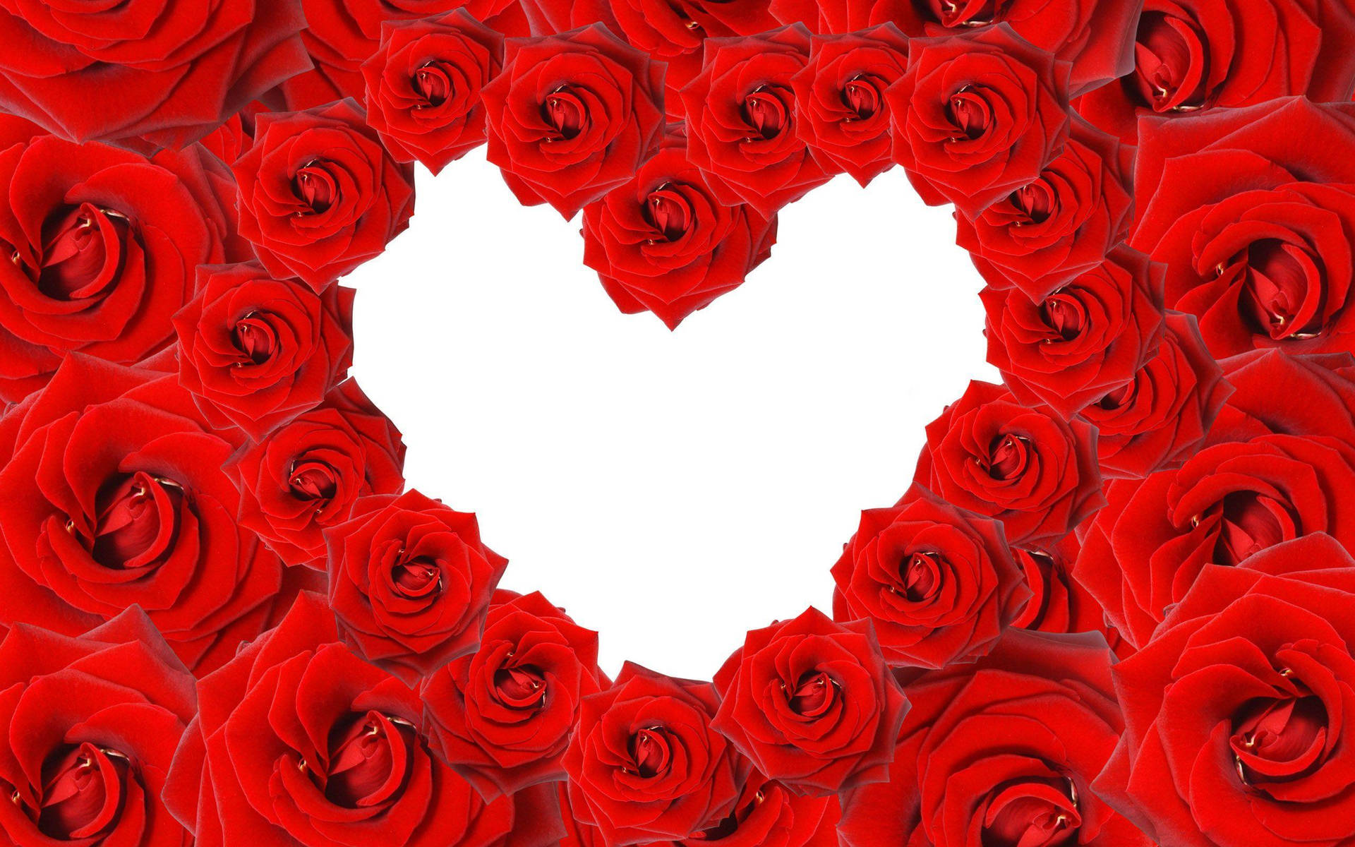 Heart Of Love Rose Wallpaper