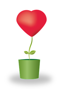 Heart Plant Growth Concept PNG