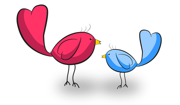 Heart Shaped Birds Illustration PNG