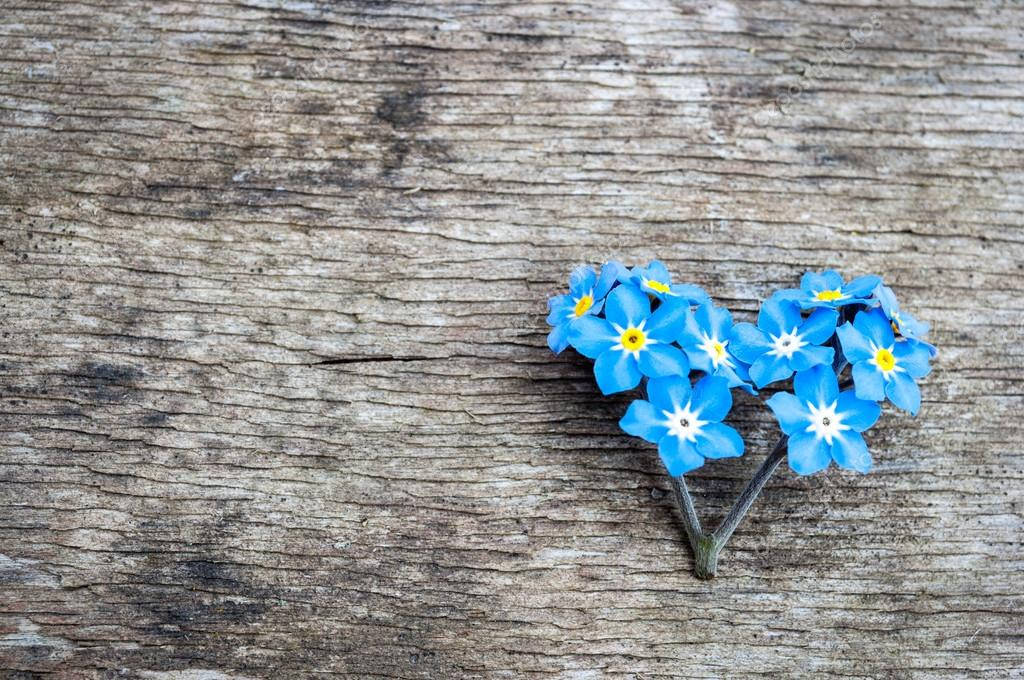 Heart Shaped Forget Me Not Flowers Background