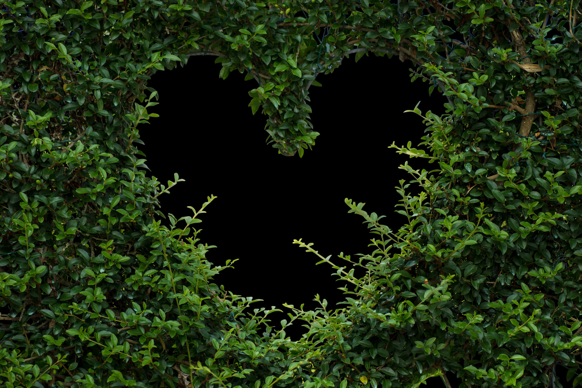 Heart Shaped Hedge Opening PNG