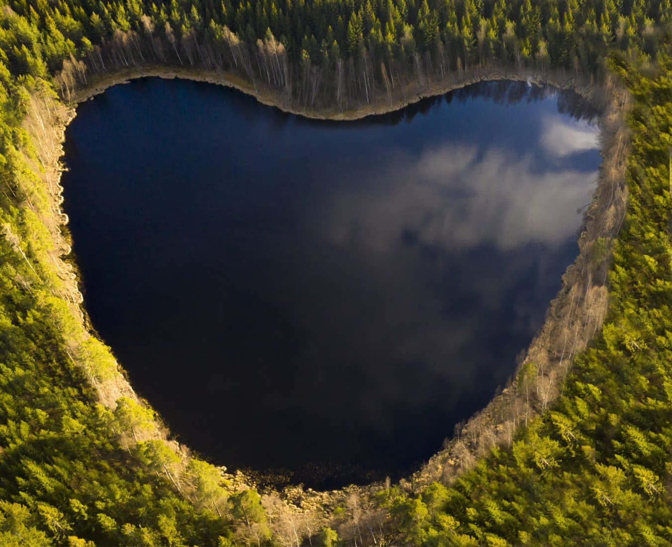 Heart Shaped Lake Aerial View Wallpaper