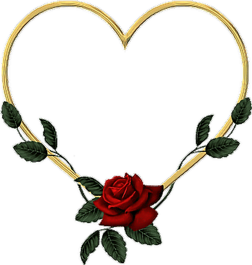 Heart Shaped Rose Frame PNG