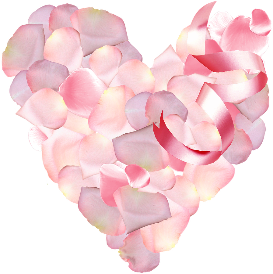 Heart Shaped Rose Petals P N G PNG
