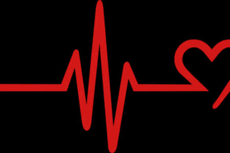 Heartbeat Electrocardiogram Graphic PNG