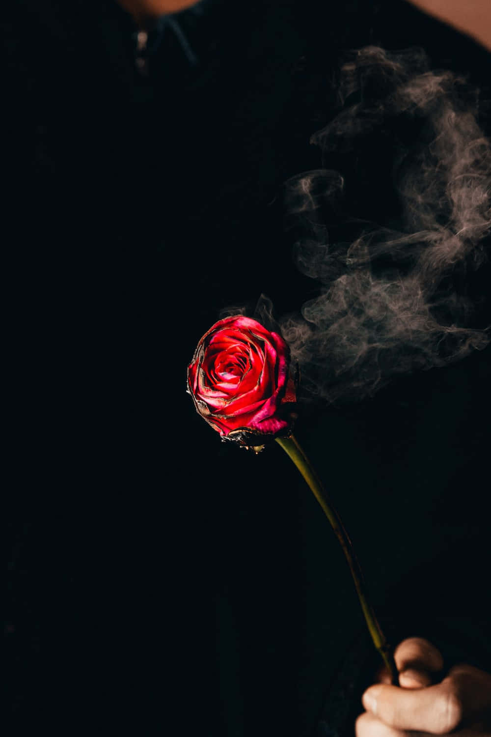 a man holding a red rose with smoke coming out of it