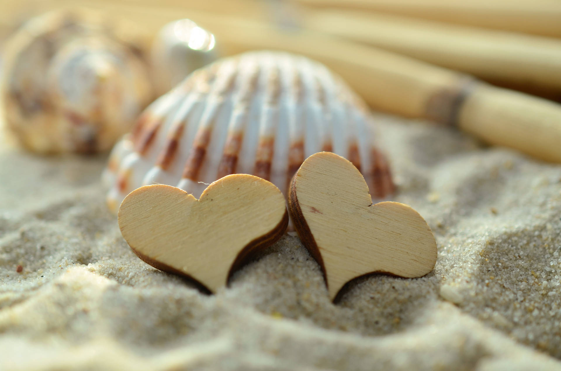 Celebrate the beauty of nature with hearts and seashells in the sand. Wallpaper