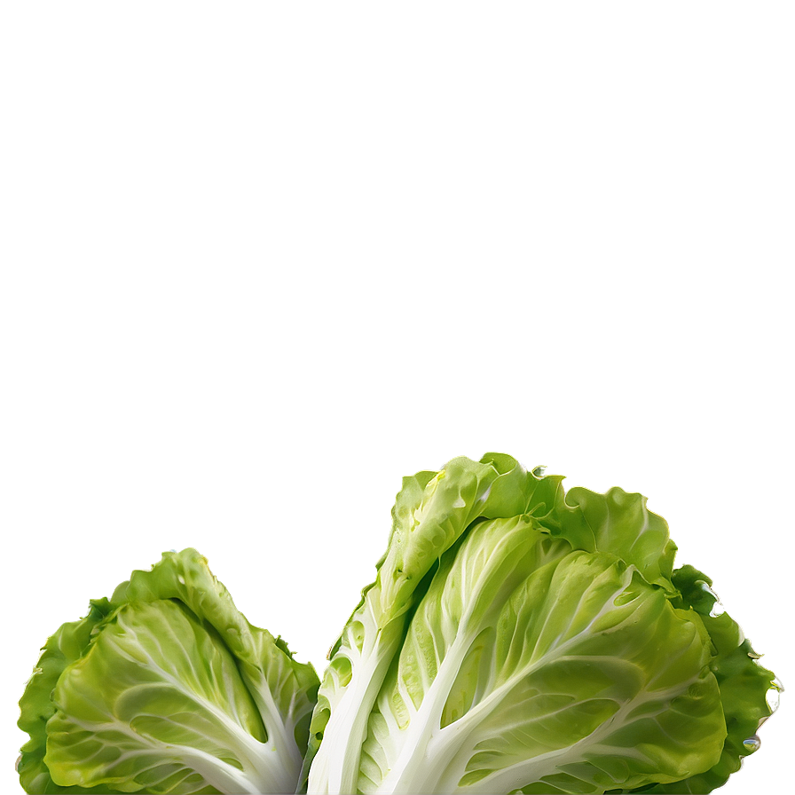 Hearty Lettuce Png Hoo PNG