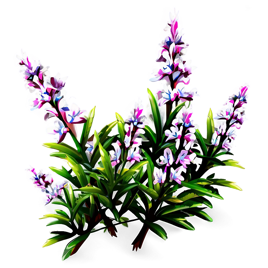 Heather Flower Bush Png Cyt41 PNG