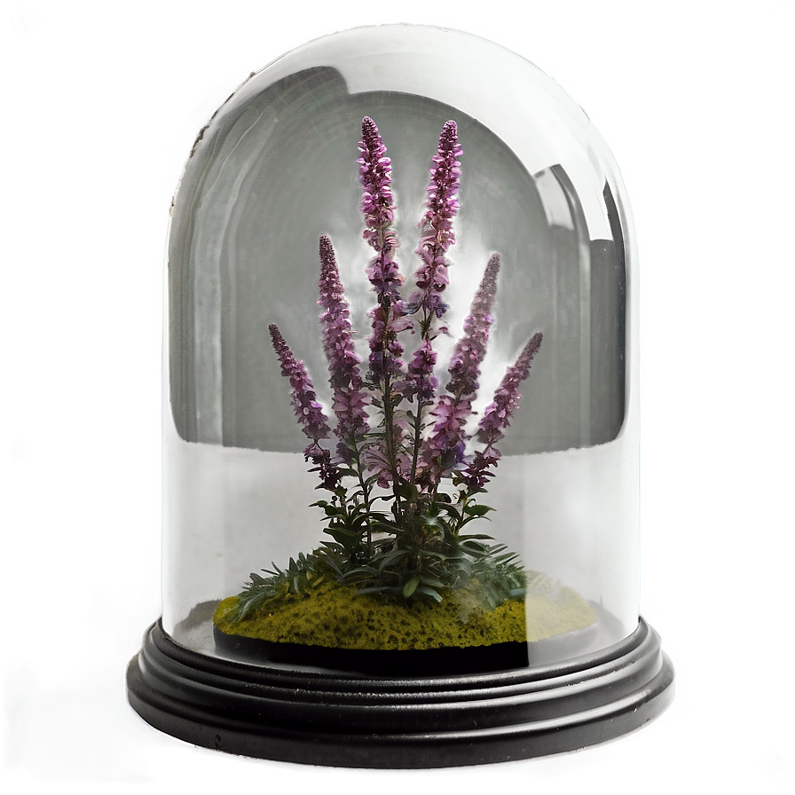 Heather In Glass Dome Png 06122024 PNG