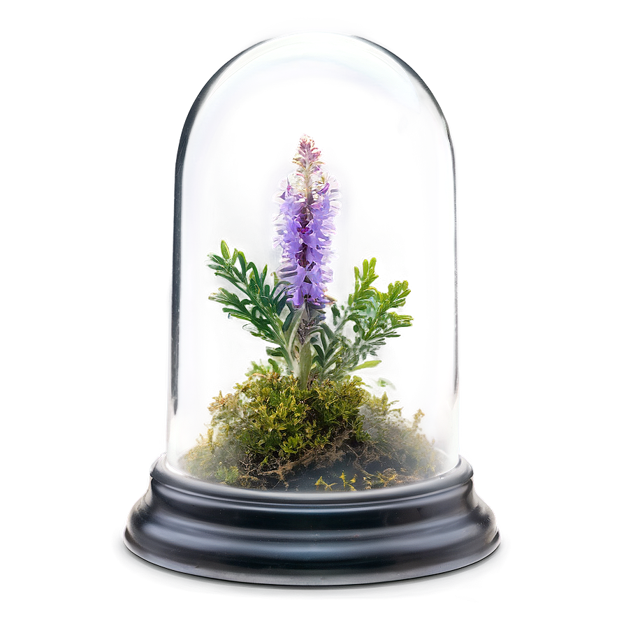 Heather In Glass Dome Png 41 PNG