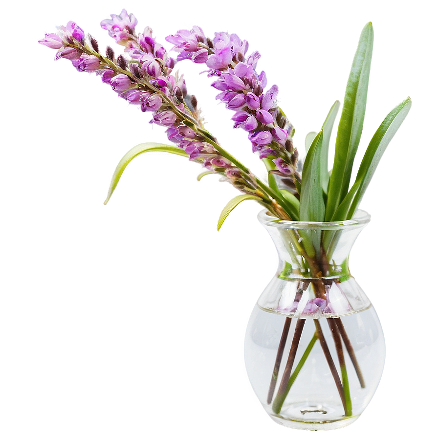 Heather In Vase Png Jhr88 PNG